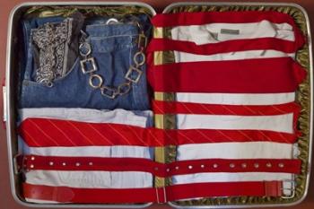American Suitcase | Obraz na stenu
