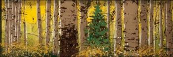 Panor Aspen Lone Pine | Obraz na stenu