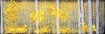 Panor Aspens Grey Forest | Obraz na stenu