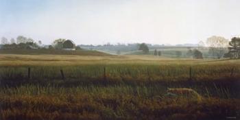 Autumn Fields - Red Fox | Obraz na stenu