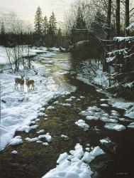 Winter Creek & Whitetails | Obraz na stenu