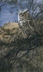 Great Horned Owl 2 | Obraz na stenu