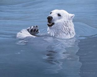 Polar Bear | Obraz na stenu