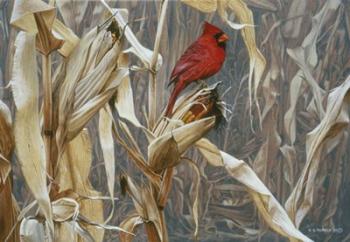 Autumn Cornfield - Cardinal | Obraz na stenu