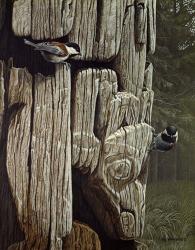 Chickadees On Totem | Obraz na stenu