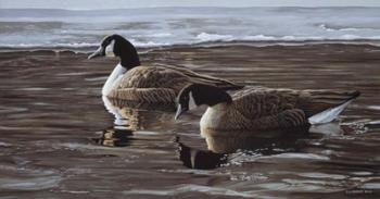 A Break In The Ice- Canada Geese | Obraz na stenu