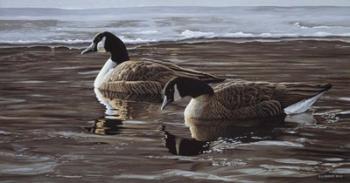 A Break In The Ice- Canada Geese | Obraz na stenu