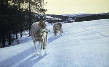 At End Of Day- Wolves | Obraz na stenu