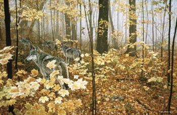 Autumn Maples - Wolves | Obraz na stenu
