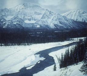 Athabaska Crossing | Obraz na stenu