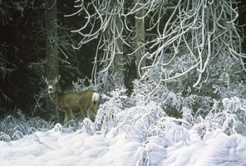 Snow Palace - Mule Deer | Obraz na stenu