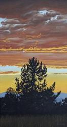 Evening Pine | Obraz na stenu