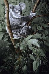 Eucalyptus Climber | Obraz na stenu