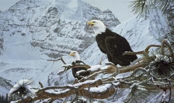 Eagles In The Pine | Obraz na stenu