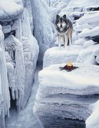 Frozen Waterfall | Obraz na stenu