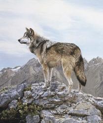 Alpine Lookout | Obraz na stenu