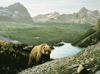 Lake O'Hara | Obraz na stenu