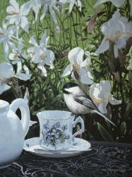 Chickadee And Teacup | Obraz na stenu