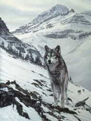 Winter Crossing - Wolf | Obraz na stenu