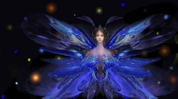Butterfly Blue Princess | Obraz na stenu