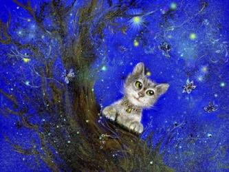 Night Cat Blue | Obraz na stenu