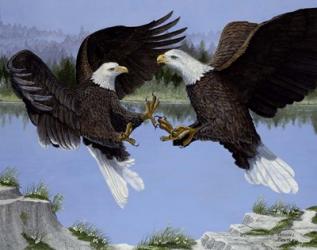 War Eagles | Obraz na stenu