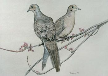 Two Birds On Branch | Obraz na stenu