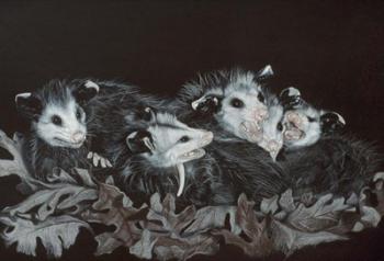 Rodents | Obraz na stenu