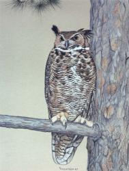 Owl Two | Obraz na stenu