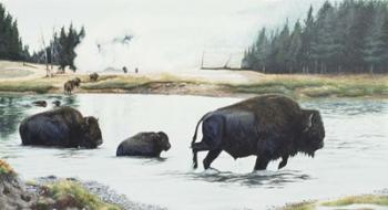 Spirit Of Yellowstone | Obraz na stenu