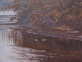Huron River Geese | Obraz na stenu
