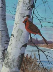Painting For Red Bird | Obraz na stenu