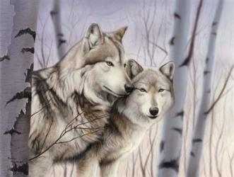 Two Wolves In The Birches | Obraz na stenu