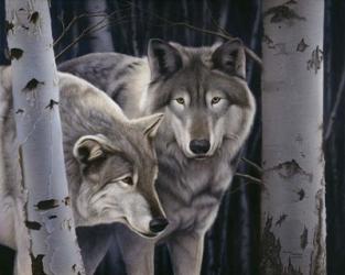 Wolves | Obraz na stenu