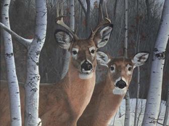 Deer Magic | Obraz na stenu