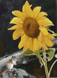 Sunflower and Chipmunck | Obraz na stenu