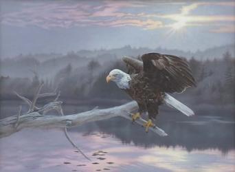The Huron Eagle | Obraz na stenu