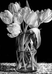 Nine Tulips | Obraz na stenu