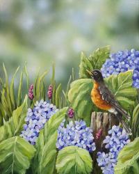 Robin With Hydrangeas | Obraz na stenu