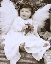 Baby Angel | Obraz na stenu