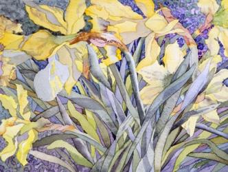 Daffodils, Van Vleck | Obraz na stenu