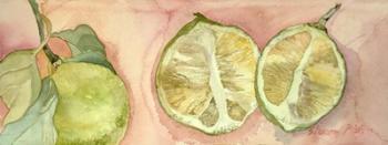 Limes In Sicily | Obraz na stenu