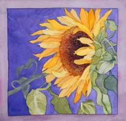 Sunflower I | Obraz na stenu