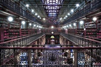 Mortlock Library | Obraz na stenu