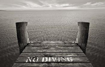 No Diving | Obraz na stenu