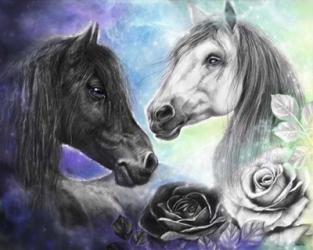 Opposites Attract - Light and Dark Horse | Obraz na stenu