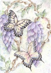 Butterflies and Vine | Obraz na stenu