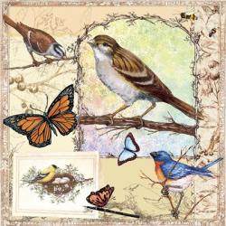 Birds, Butterflys, Bees-Pastels | Obraz na stenu