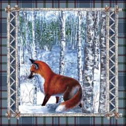 Birch Frame Plaid Fox | Obraz na stenu