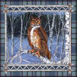 Birch Frame Plaid-Owl | Obraz na stenu